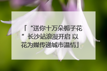 “送你十万朵栀子花”长沙站浪漫开启 以花为媒传递城市温情