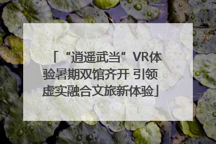 “逍遥武当”VR体验暑期双馆齐开 引领虚实融合文旅新体验