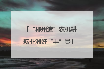 “郴州造”农机耕耘非洲好“丰”景