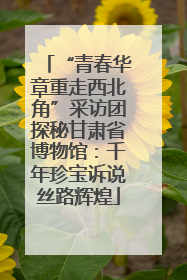 “青春华章重走西北角”采访团探秘甘肃省博物馆：千年珍宝诉说丝路辉煌