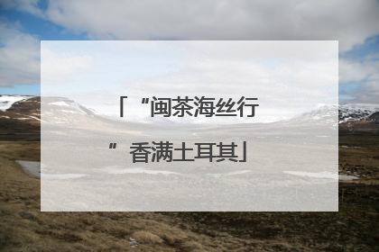“闽茶海丝行”香满土耳其