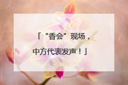 “香会”现场，中方代表发声！