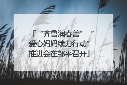 “齐鲁润春蕾”“爱心妈妈续力行动”推进会在邹平召开