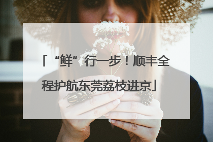 “鲜”行一步！顺丰全程护航东莞荔枝进京