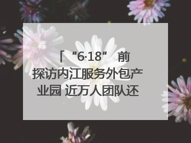 “6·18” 前探访内江服务外包产业园 近万人团队还在不断拓展｜内江东兴“红”在哪⑤
