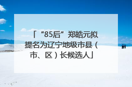 “85后”郑皓元拟提名为辽宁地级市县（市、区）长候选人
