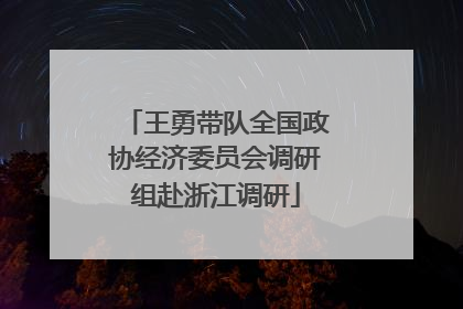 王勇带队全国政协经济委员会调研组赴浙江调研