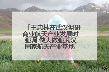 王忠林在武汉调研商业航天产业发展时强调 做大做强武汉国家航天产业基地 打造具有全国影响力的“中国星谷”