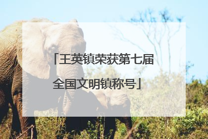 王英镇荣获第七届全国文明镇称号