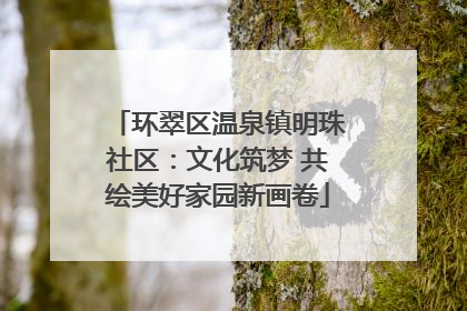 环翠区温泉镇明珠社区：文化筑梦 共绘美好家园新画卷