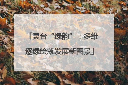 灵台“绿韵”：多维逐绿绘就发展新图景