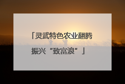 灵武特色农业翻腾振兴“致富浪”