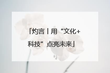 灼言丨用“文化+科技”点亮未来