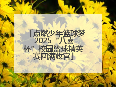 点燃少年篮球梦 2025“八喜杯”校园篮球精英赛圆满收官