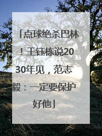 点球绝杀巴林！王钰栋说2030年见，范志毅：一定要保护好他