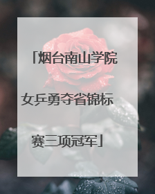 烟台南山学院女乒勇夺省锦标赛三项冠军