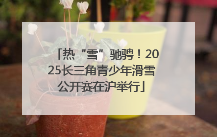 热“雪”驰骋！2025长三角青少年滑雪公开赛在沪举行