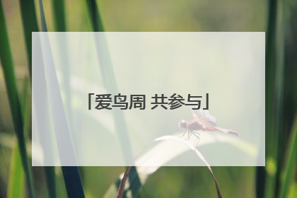 爱鸟周 共参与