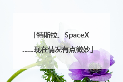 特斯拉、SpaceX……现在情况有点微妙