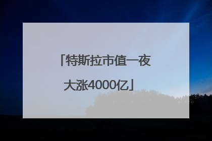 特斯拉市值一夜大涨4000亿