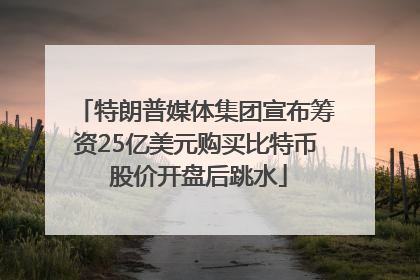 特朗普媒体集团宣布筹资25亿美元购买比特币 股价开盘后跳水