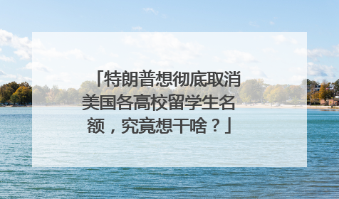 特朗普想彻底取消美国各高校留学生名额，究竟想干啥？