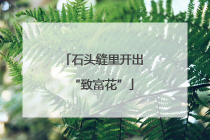 石头缝里开出“致富花”