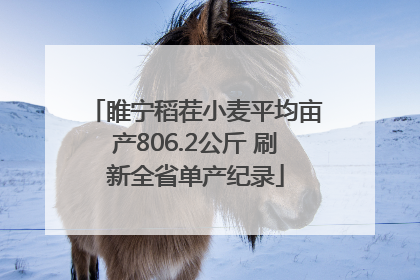 睢宁稻茬小麦平均亩产806.2公斤 刷新全省单产纪录