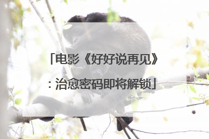 电影《好好说再见》：治愈密码即将解锁