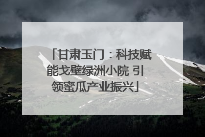 甘肃玉门：科技赋能戈壁绿洲小院 引领蜜瓜产业振兴