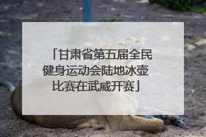 甘肃省第五届全民健身运动会陆地冰壶比赛在武威开赛