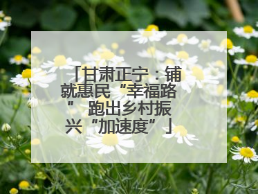 甘肃正宁：铺就惠民“幸福路” 跑出乡村振兴“加速度”