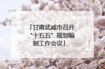 甘肃武威市召开“十五五”规划编制工作会议