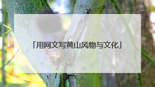 用网文写黄山风物与文化