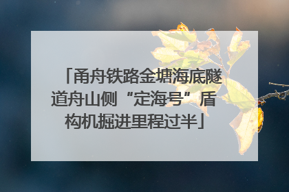 甬舟铁路金塘海底隧道舟山侧“定海号”盾构机掘进里程过半