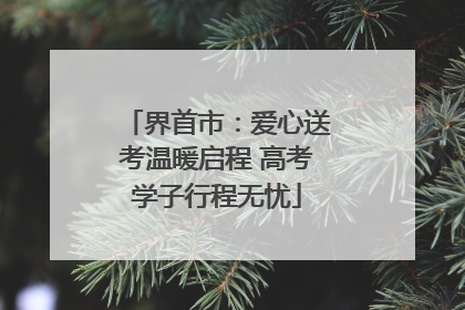 界首市：爱心送考温暖启程 高考学子行程无忧