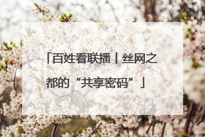 百姓看联播丨丝网之都的“共享密码”