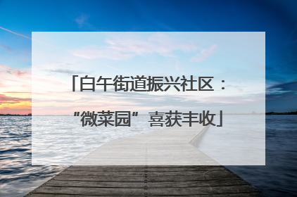 白午街道振兴社区：“微菜园”喜获丰收