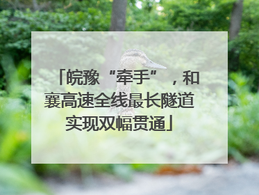 皖豫“牵手”，和襄高速全线最长隧道实现双幅贯通
