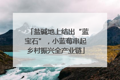 盐碱地上结出“蓝宝石”，小蓝莓串起乡村振兴全产业链
