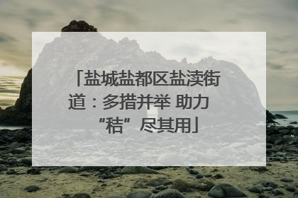 盐城盐都区盐渎街道：多措并举 助力“秸”尽其用
