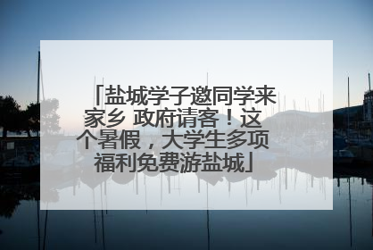 盐城学子邀同学来家乡 政府请客！这个暑假，大学生多项福利免费游盐城
