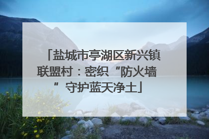 盐城市亭湖区新兴镇联盟村:密织“防火墙”守护蓝天净土