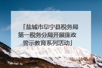 盐城市阜宁县税务局第一税务分局开展廉政警示教育系列活动