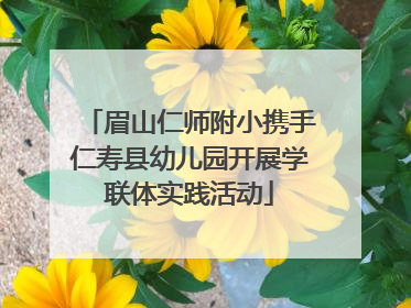 眉山仁师附小携手仁寿县幼儿园开展学联体实践活动