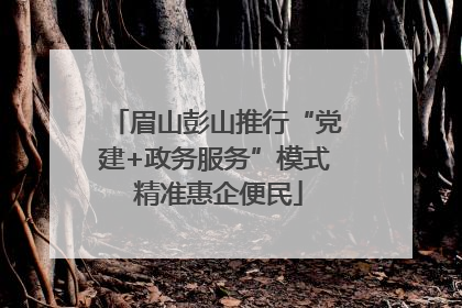 眉山彭山推行“党建+政务服务”模式 精准惠企便民
