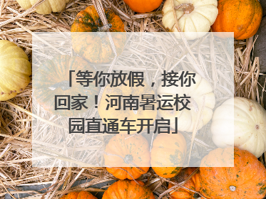 等你放假，接你回家！河南暑运校园直通车开启