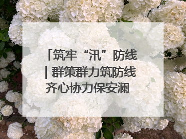 筑牢“汛”防线｜群策群力筑防线 齐心协力保安澜——张家界高新区上下众志成城迎战汛情