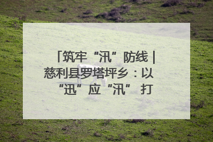 筑牢“汛”防线｜慈利县罗塔坪乡：以“迅”应“汛” 打赢暴雨防御战