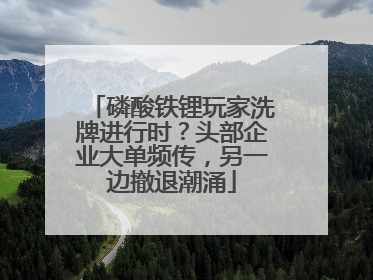 磷酸铁锂玩家洗牌进行时？头部企业大单频传，另一边撤退潮涌